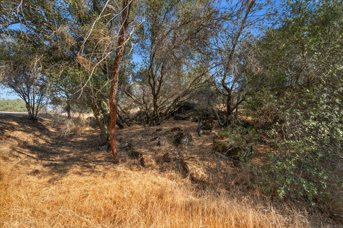 0 0 Sky Harbour, Friant, CA 93626