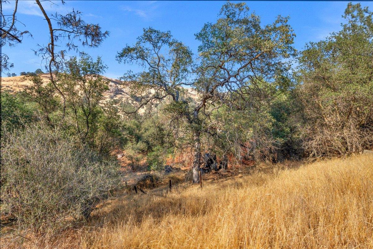 0 0 Sky Harbour, Friant, CA 93626