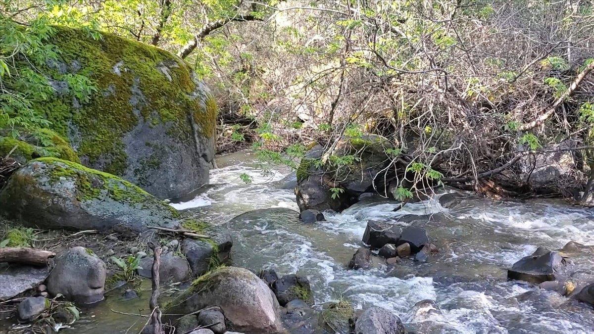 0 0 Sky Harbour, Friant, CA 93626