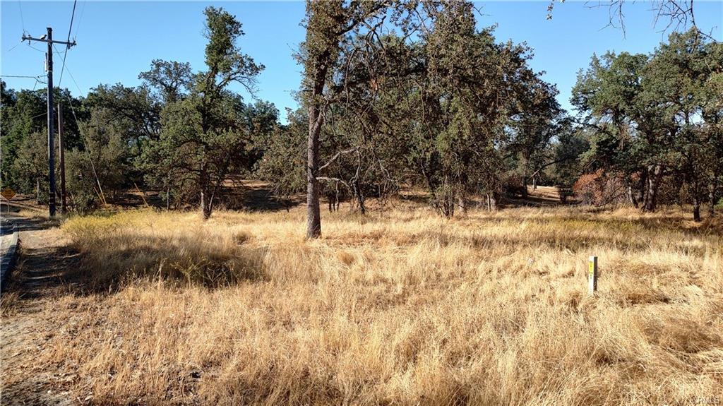 146 Lot Revis Rd, Coarsegold, CA 93614