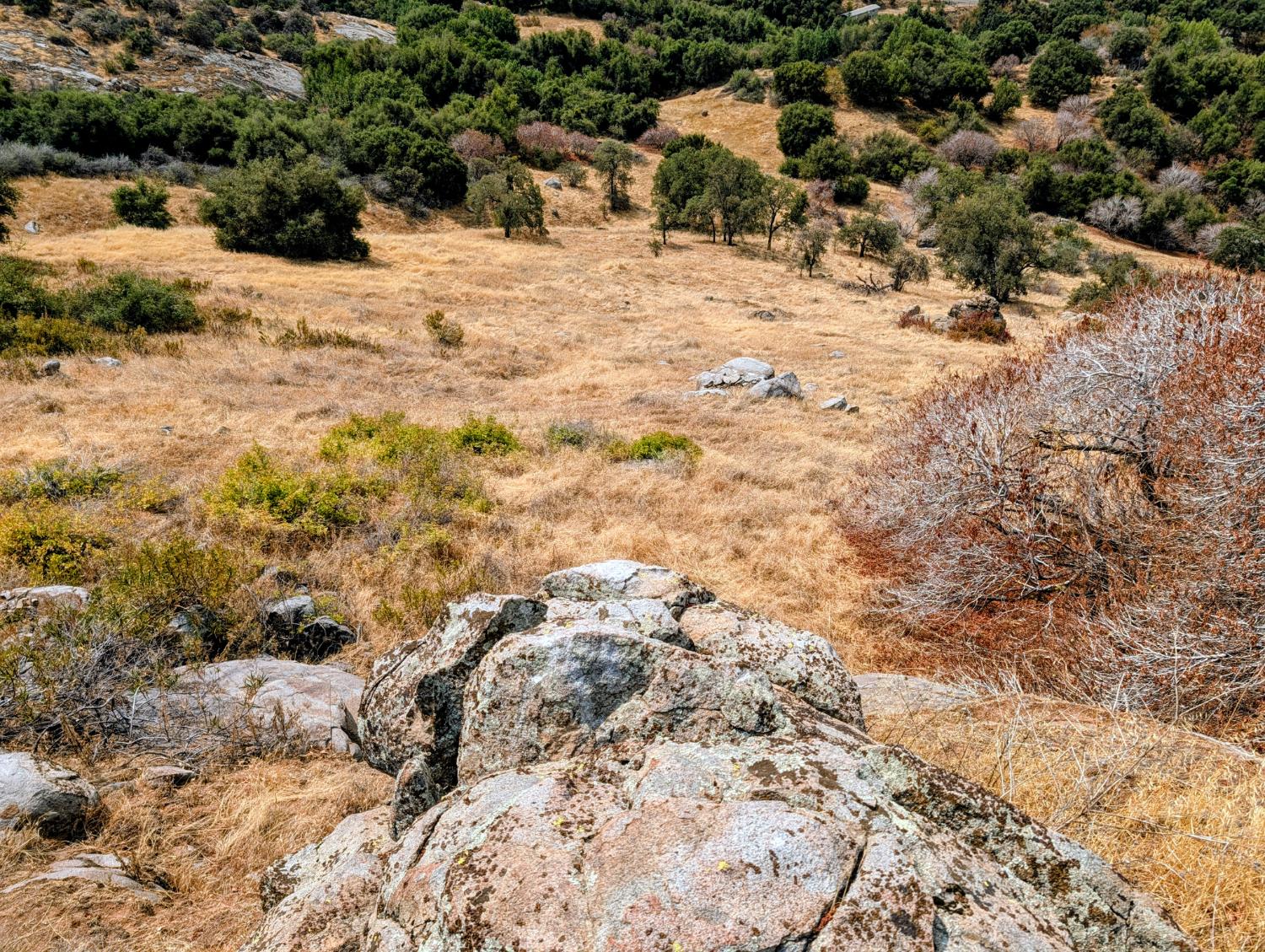 50740 Bramble Ln, Yokuts Valley, CA 93675