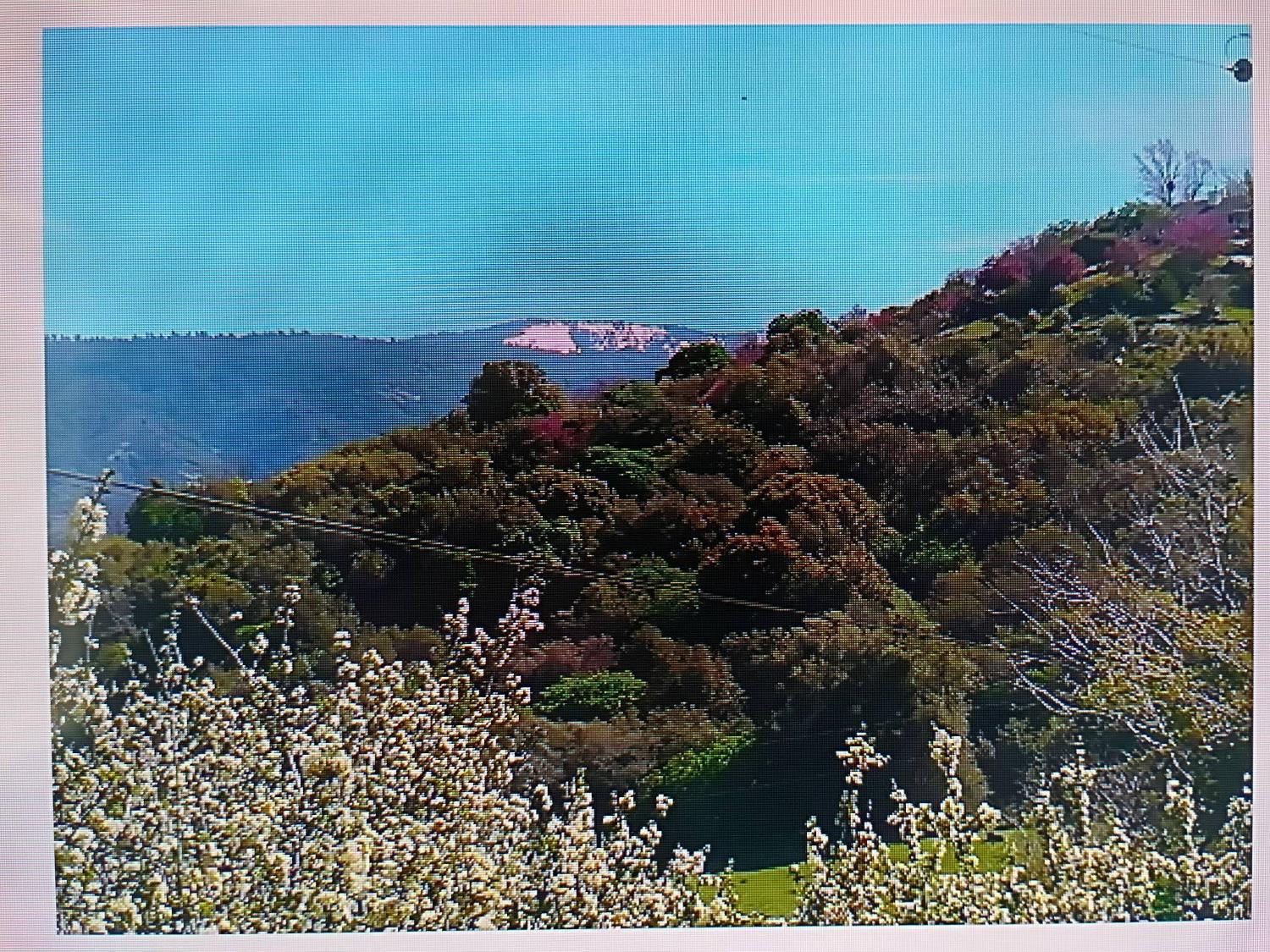 50740 Bramble Ln, Yokuts Valley, CA 93675