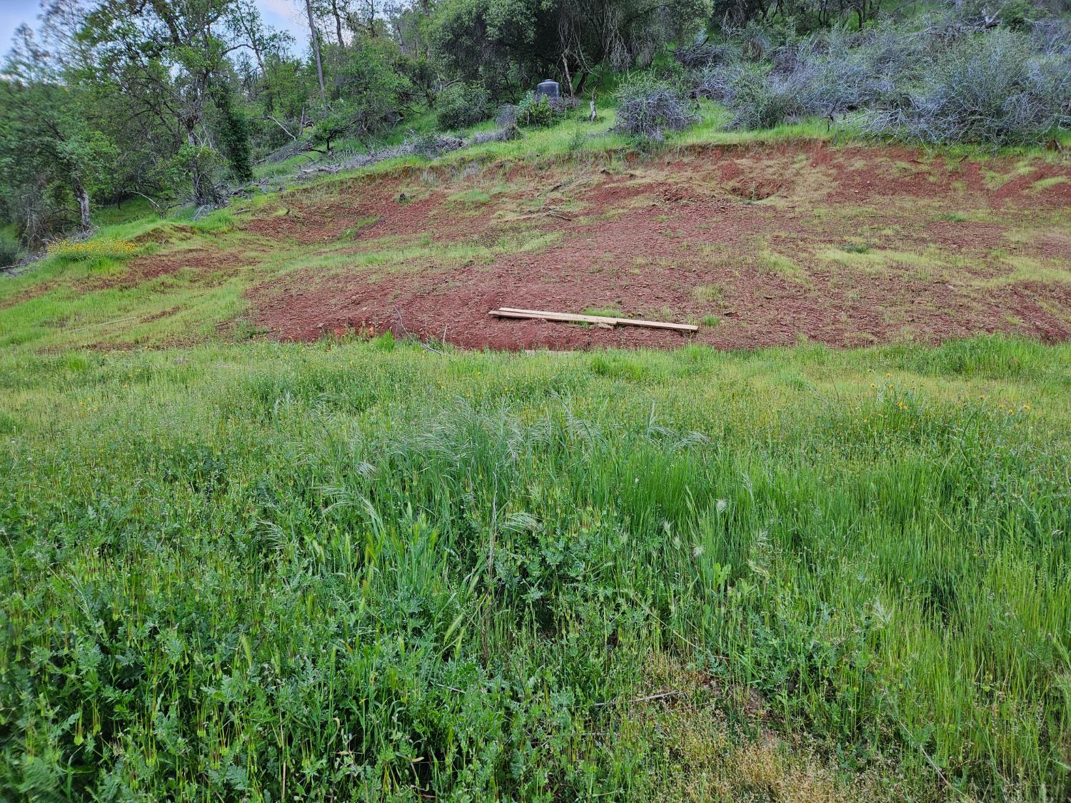 1000 Trimmer Spring Rd, Sanger, CA 93657