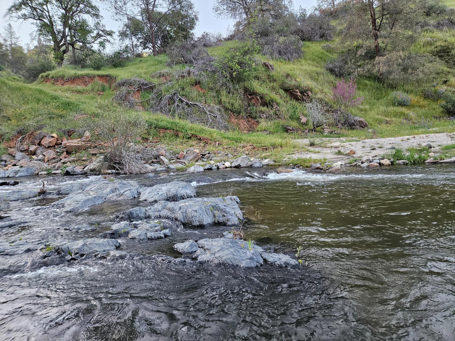 1000 Trimmer Spring Rd, Sanger, CA 93657