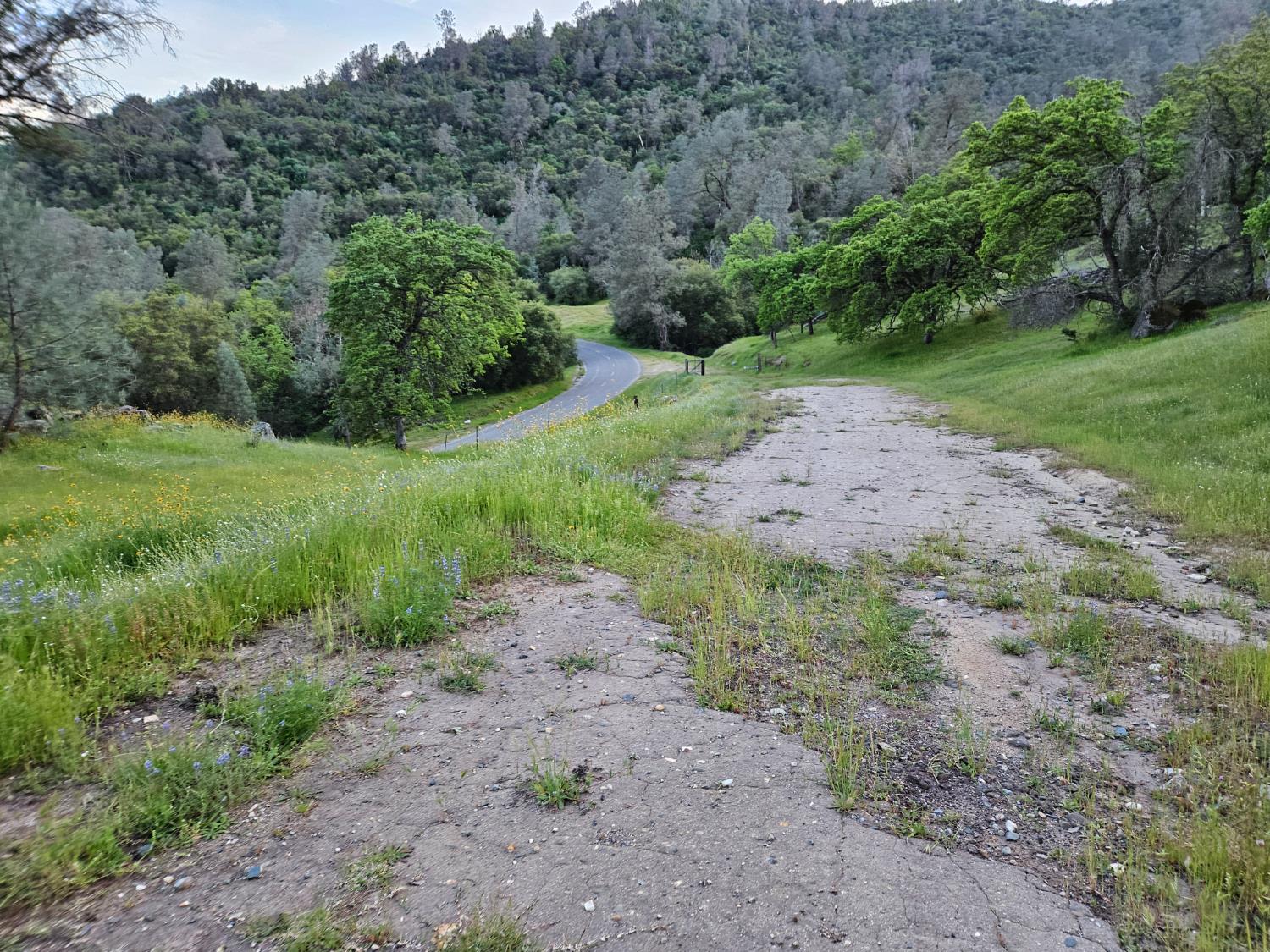 1000 Trimmer Spring Rd, Sanger, CA 93657