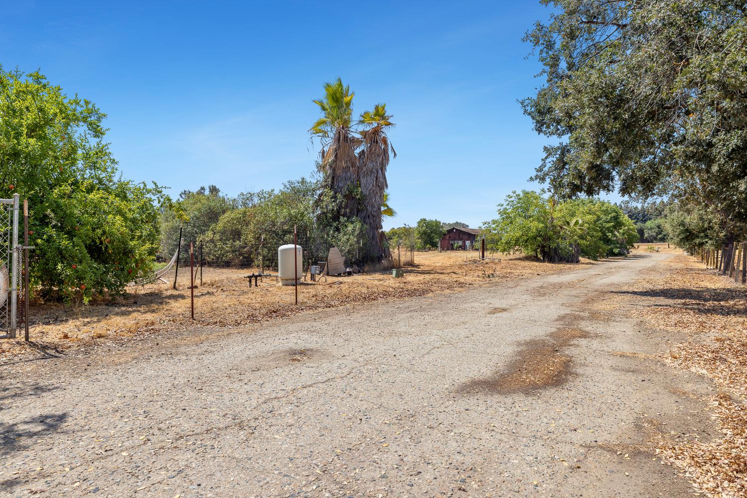 6589 N De Wolf Ave, Clovis, CA 93619