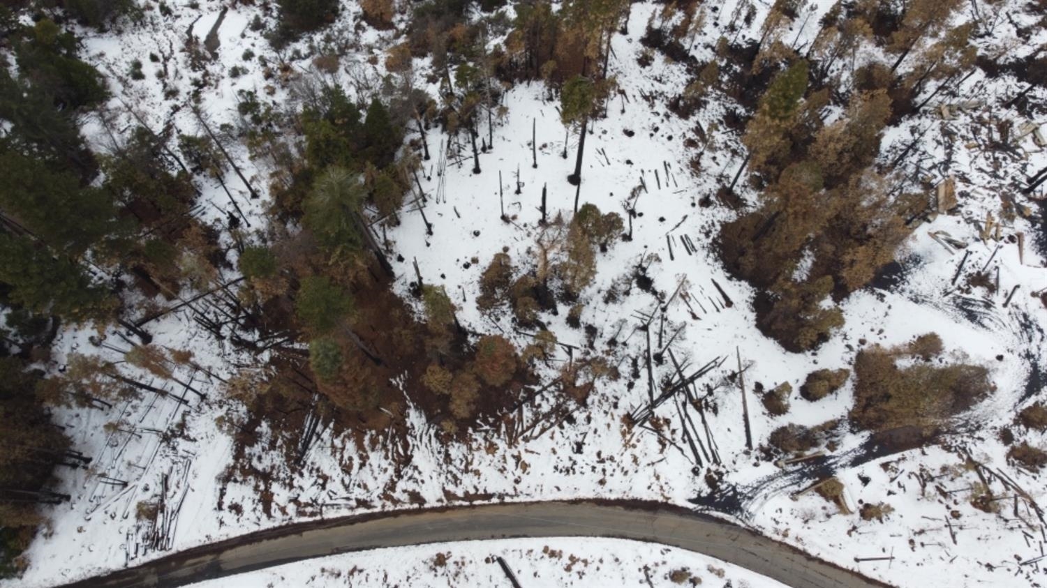 0 0 Woodland Rd, Shaver Lake, CA 93664