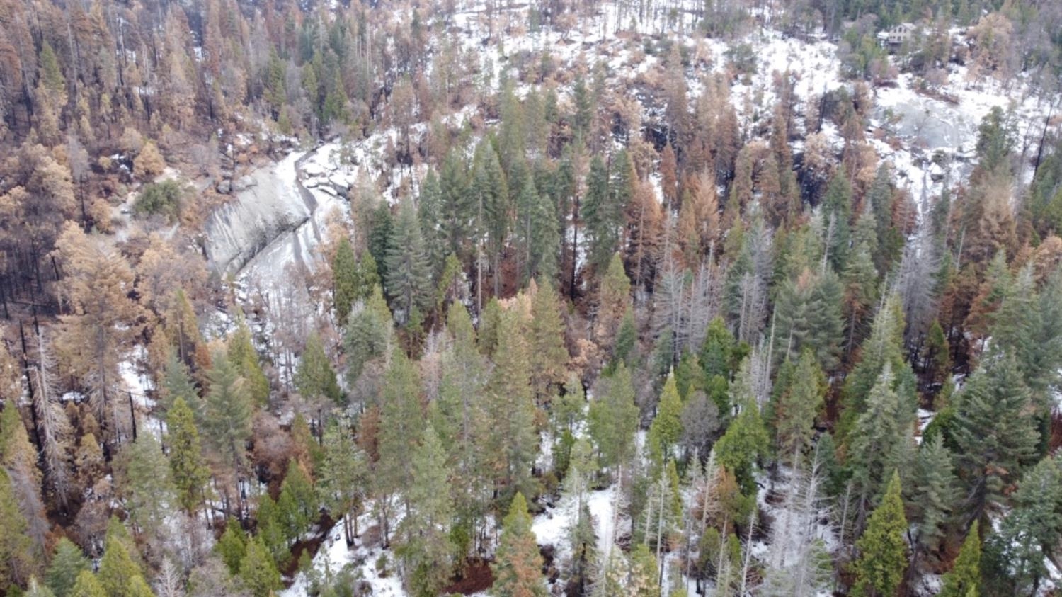 0 0 Woodland Rd, Shaver Lake, CA 93664