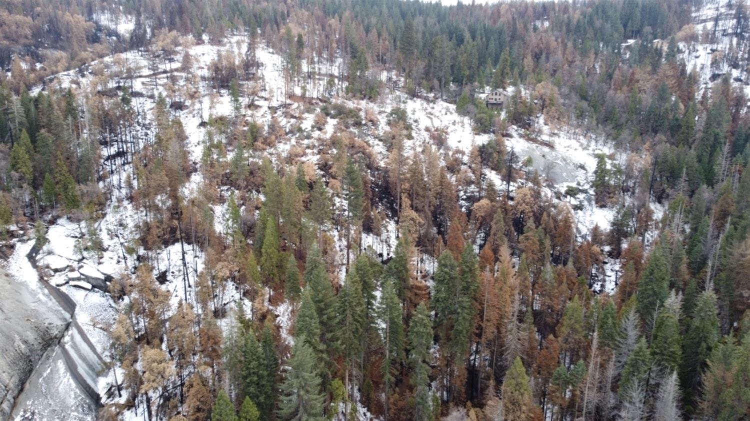 0 0 Woodland Rd, Shaver Lake, CA 93664