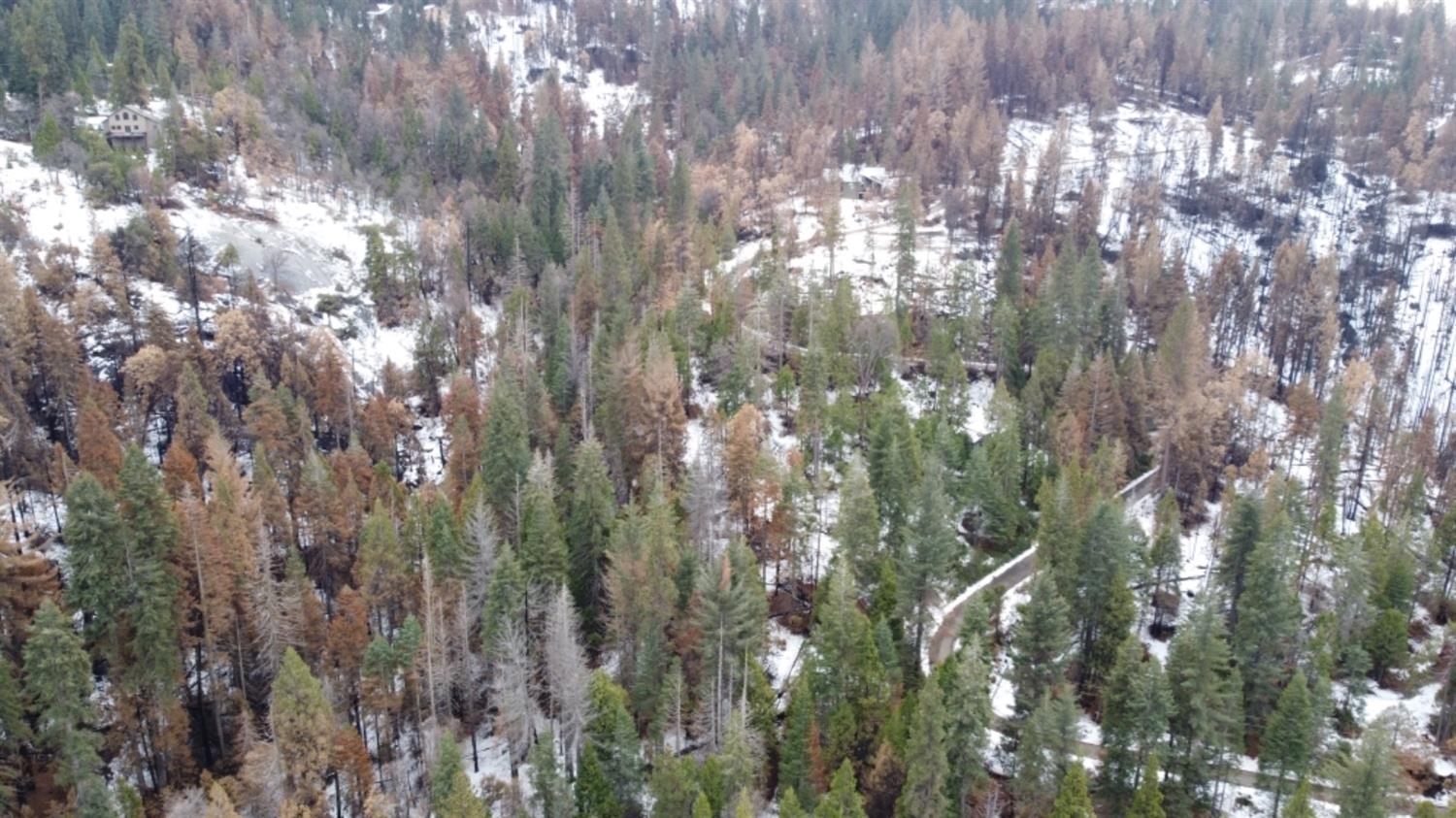 0 0 Woodland Rd, Shaver Lake, CA 93664