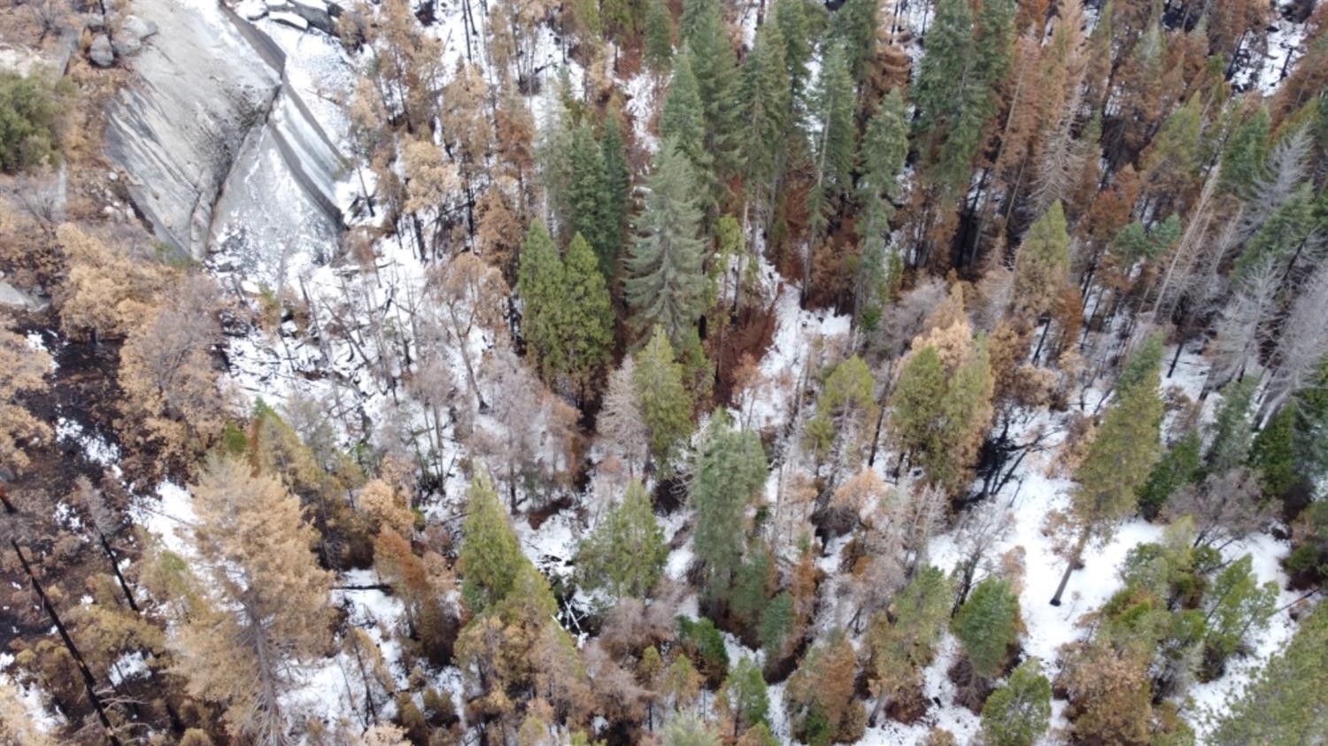 0 0 Woodland Rd, Shaver Lake, CA 93664