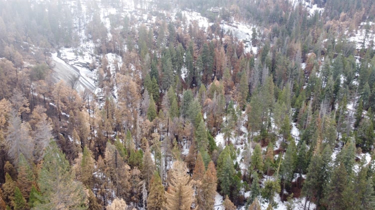 0 0 Woodland Rd, Shaver Lake, CA 93664