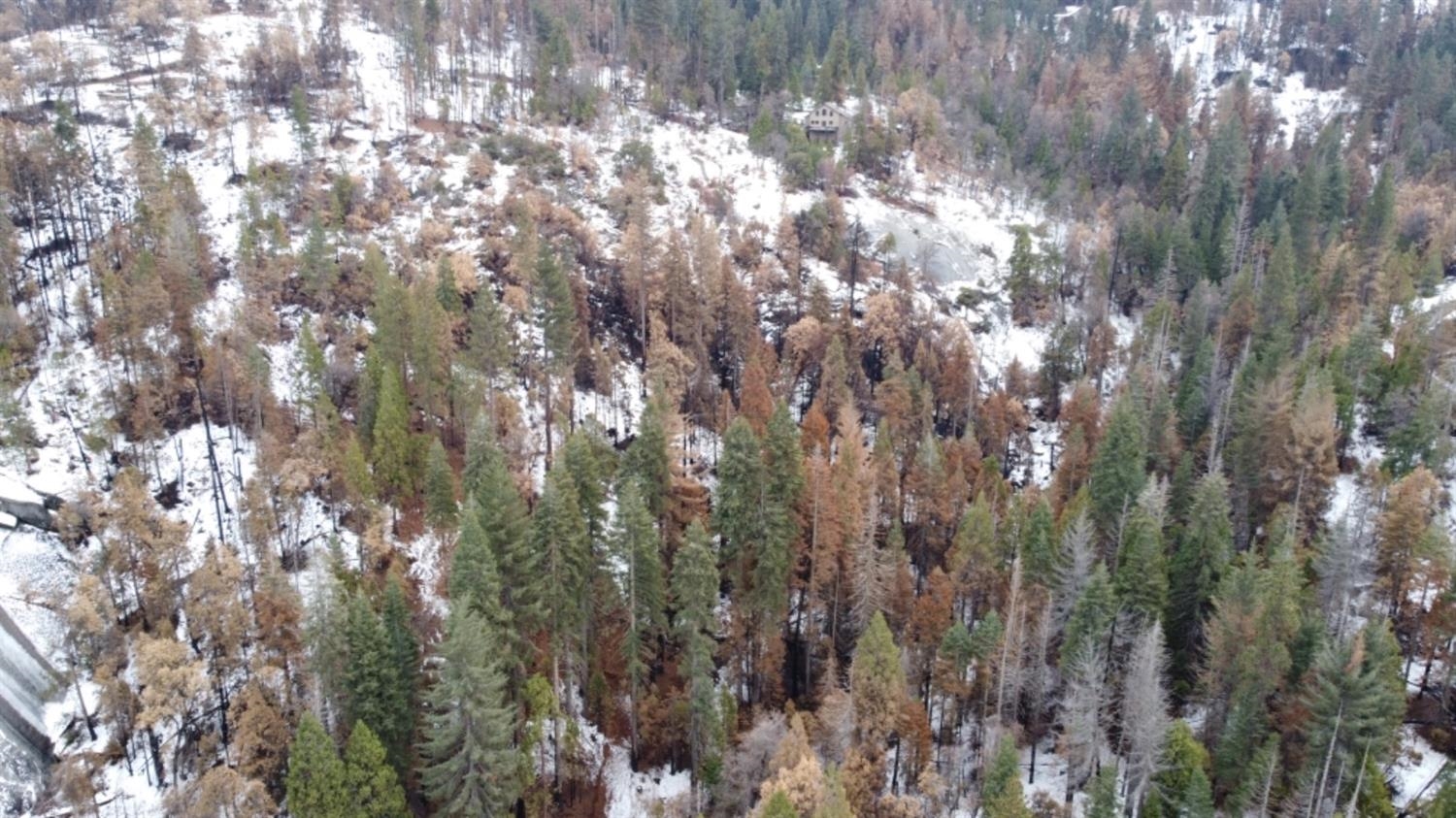 0 0 Woodland Rd, Shaver Lake, CA 93664