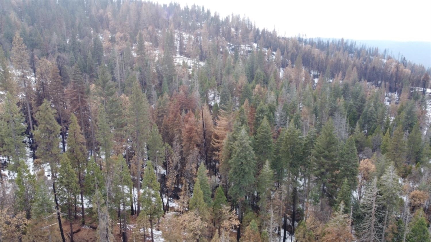 0 0 Woodland Rd, Shaver Lake, CA 93664