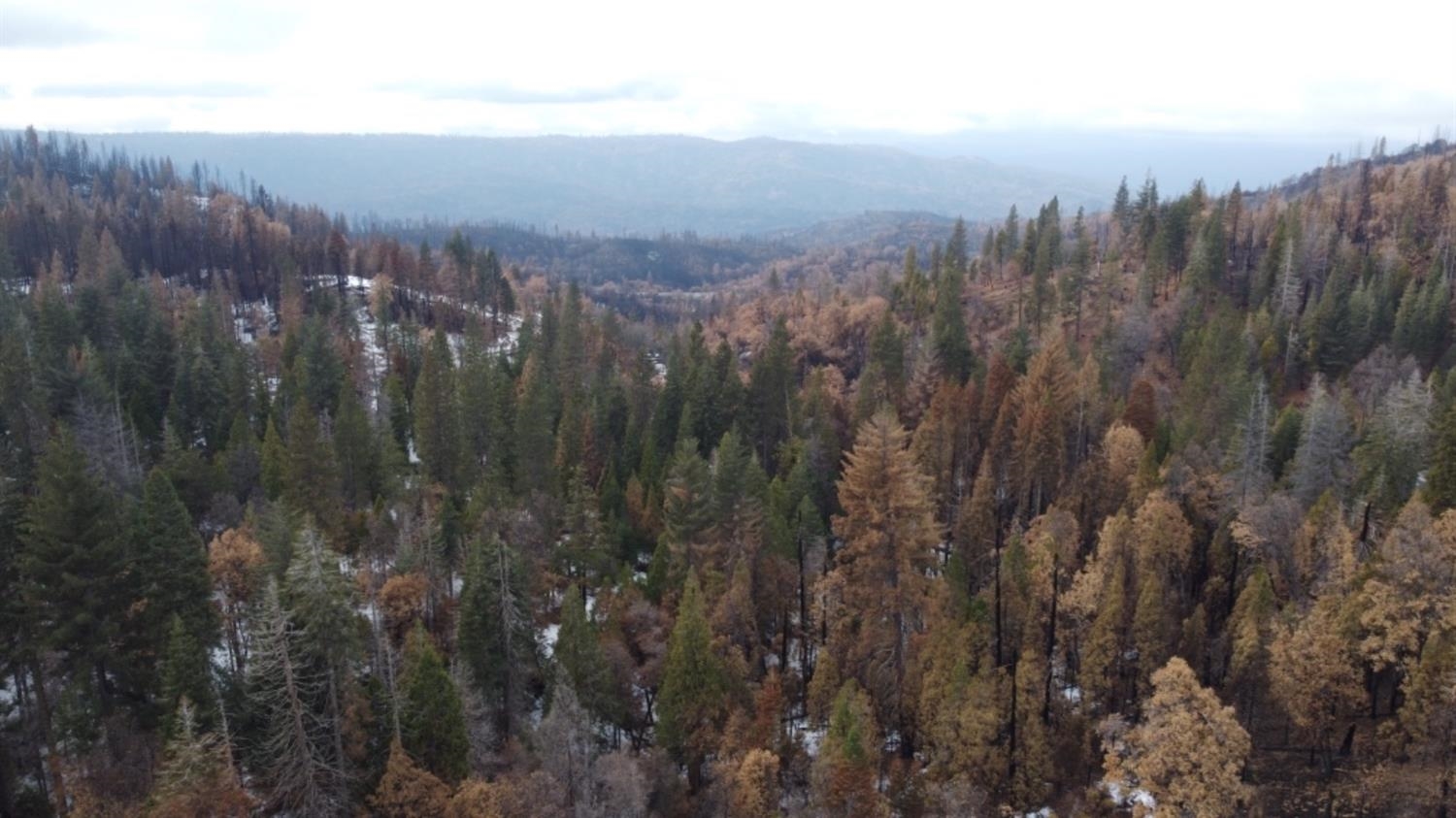 0 0 Woodland Rd, Shaver Lake, CA 93664