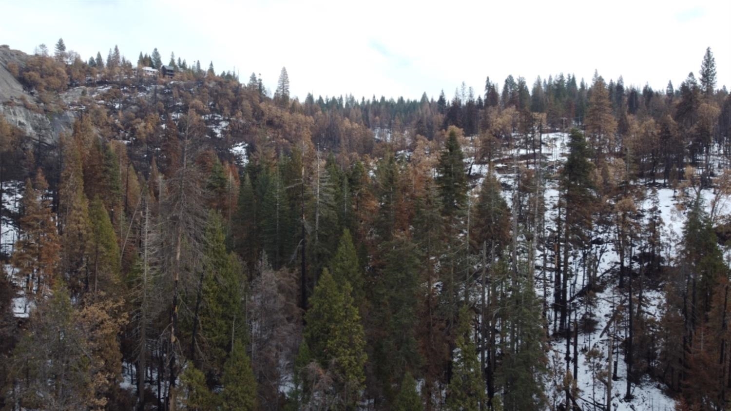 0 0 Woodland Rd, Shaver Lake, CA 93664