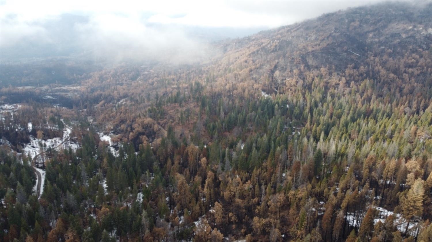 0 0 Woodland Rd, Shaver Lake, CA 93664