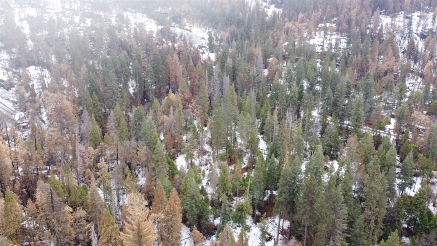 0 0 Woodland Rd, Shaver Lake, CA 93664