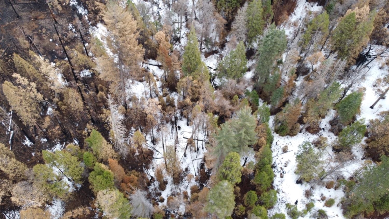 0 0 Woodland Rd, Shaver Lake, CA 93664