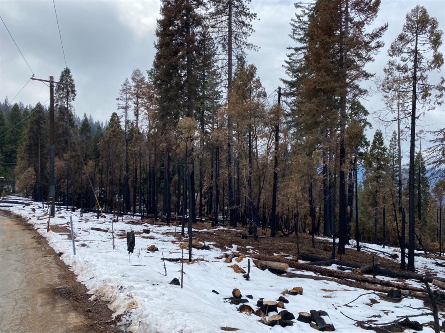 0 0 Woodland Rd, Shaver Lake, CA 93664