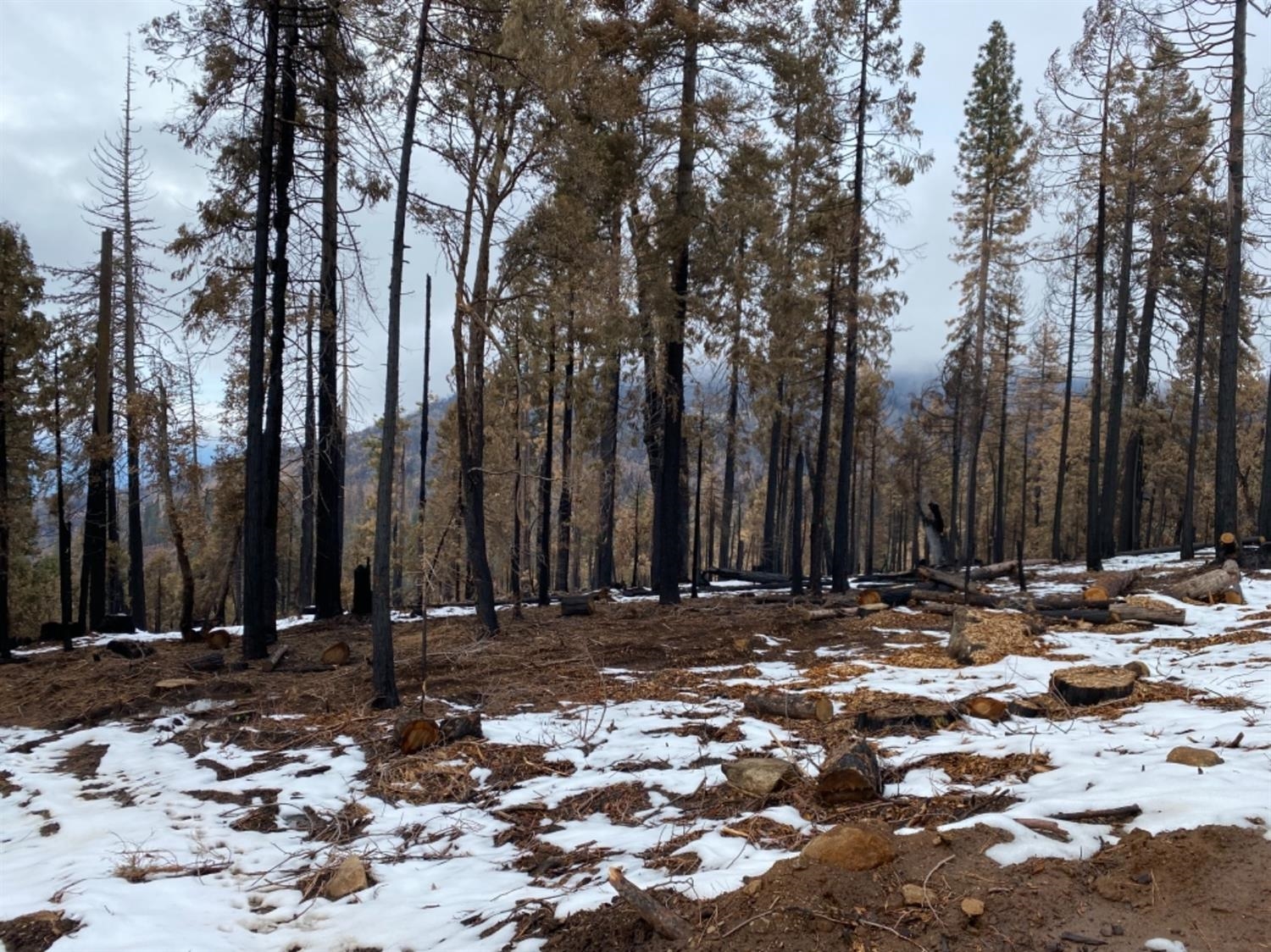 0 0 Woodland Rd, Shaver Lake, CA 93664