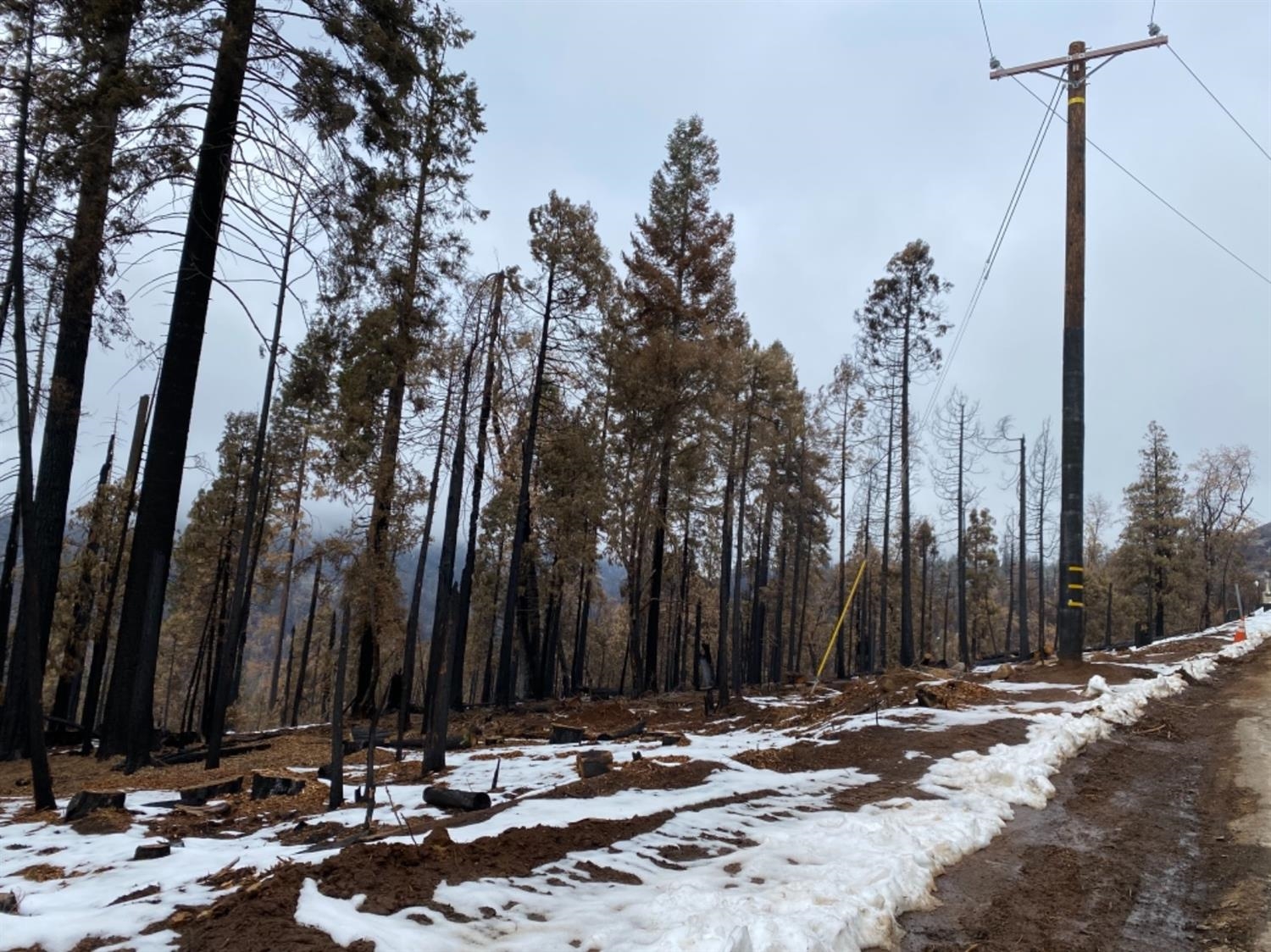 0 0 Woodland Rd, Shaver Lake, CA 93664