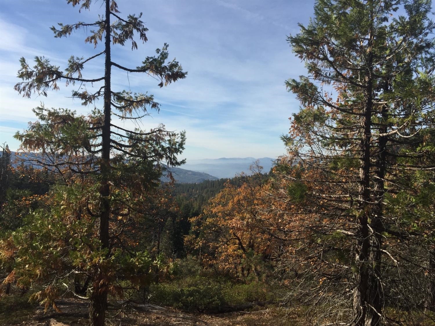 0 0 Woodland Rd, Shaver Lake, CA 93664