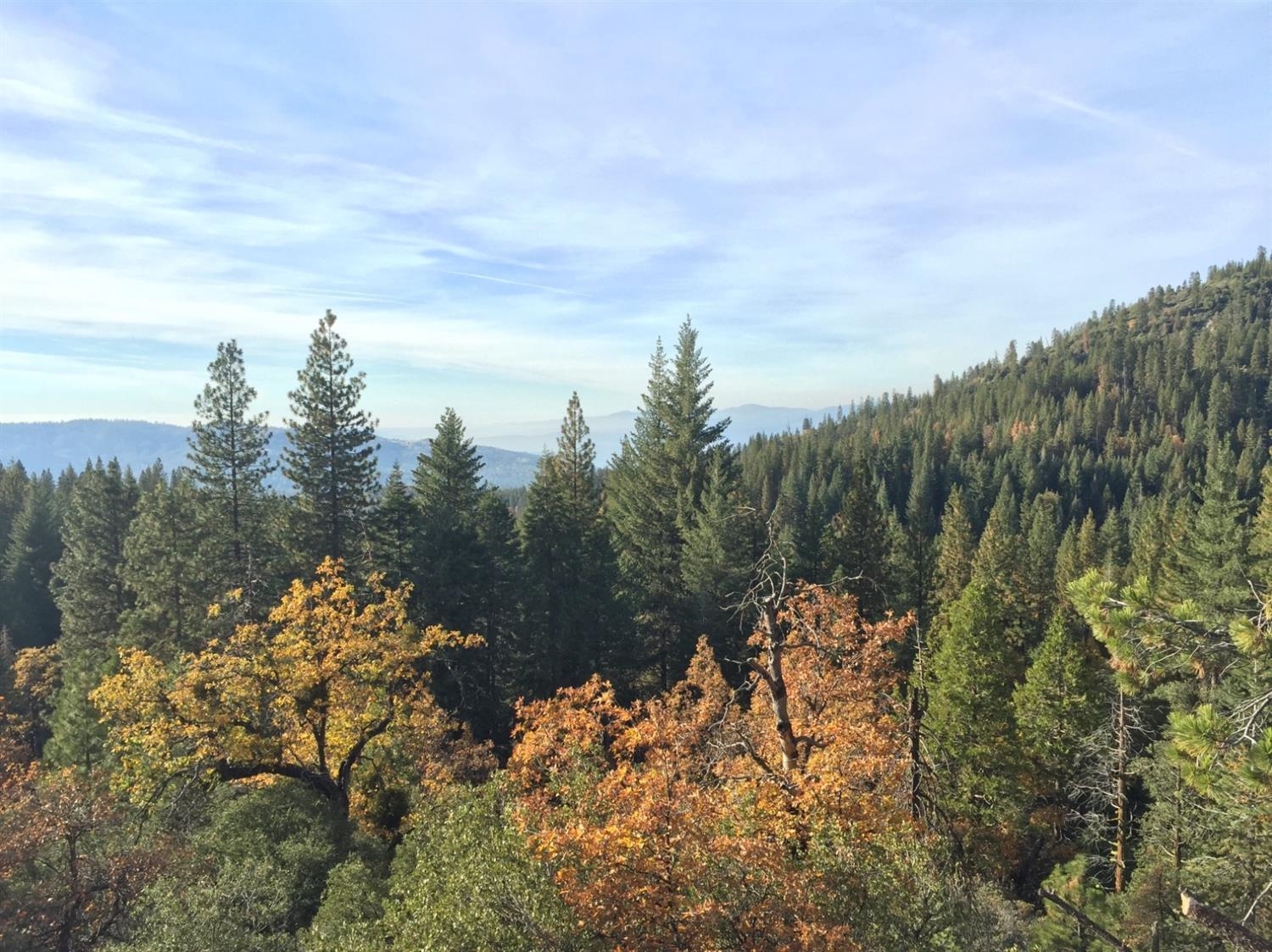 0 0 Woodland Rd, Shaver Lake, CA 93664