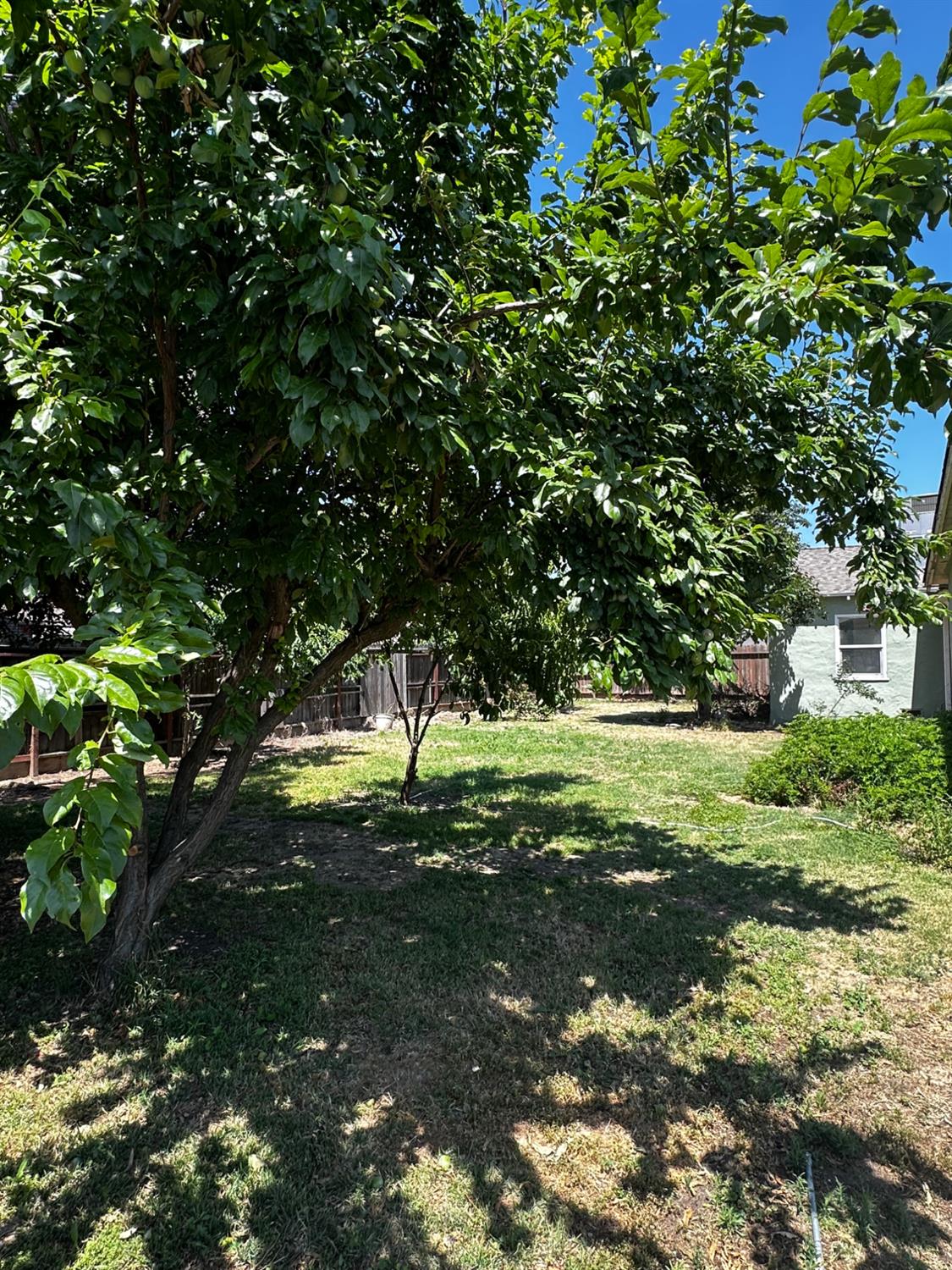 801 Riverside Ave, Chowchilla, CA 93610