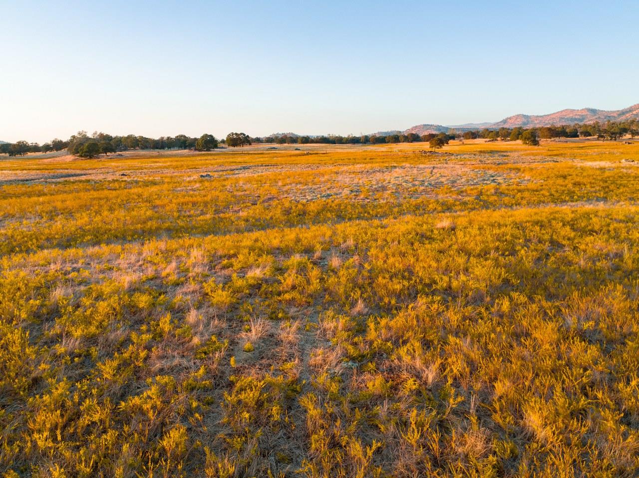 2553 Old Highway, Catheys Valley, CA 95306