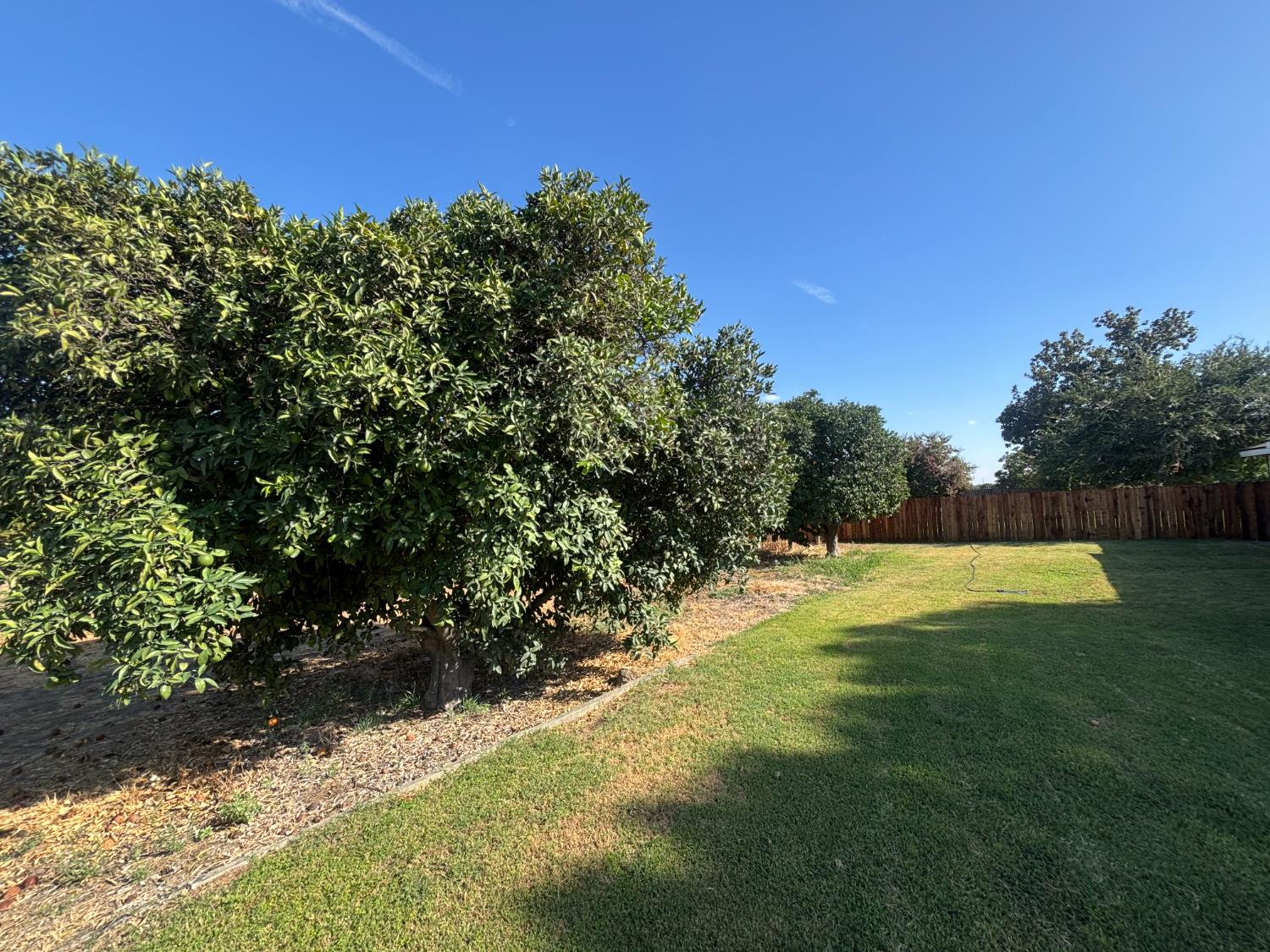 19317 Parlier Ave E, Reedley, CA 93654