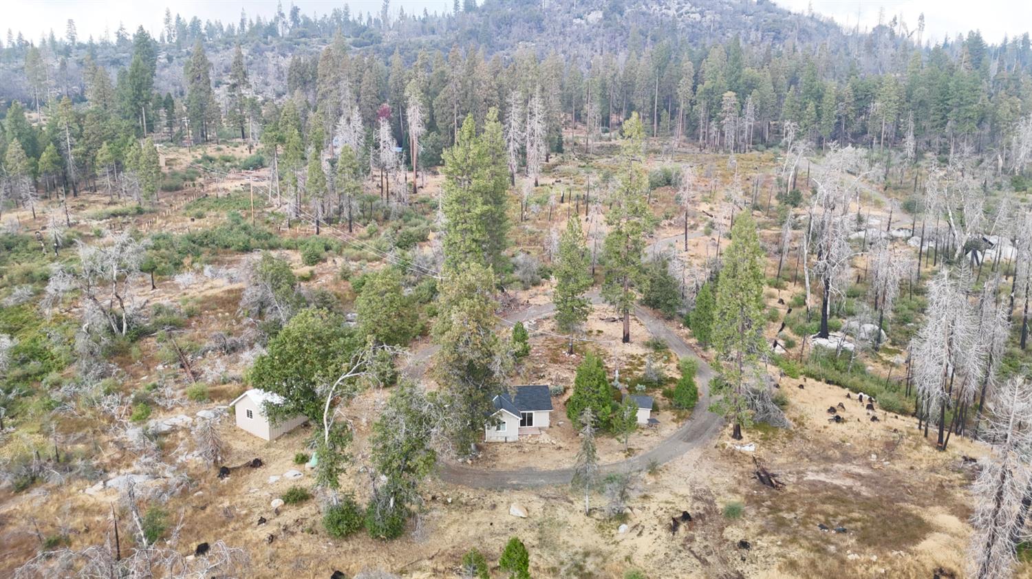 38295 Cressman Rd, Shaver Lake, CA 93664