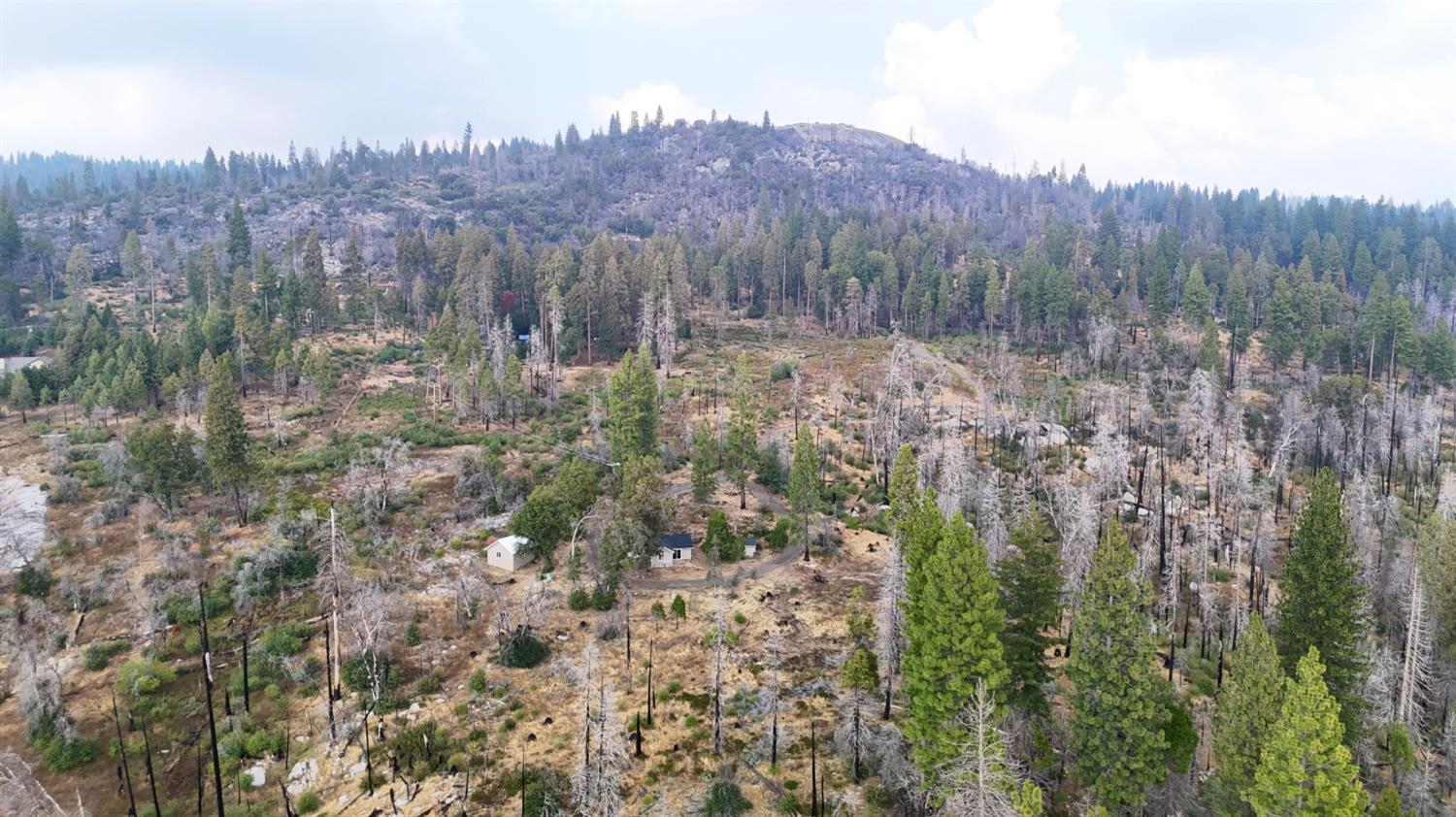 38295 Cressman Rd, Shaver Lake, CA 93664