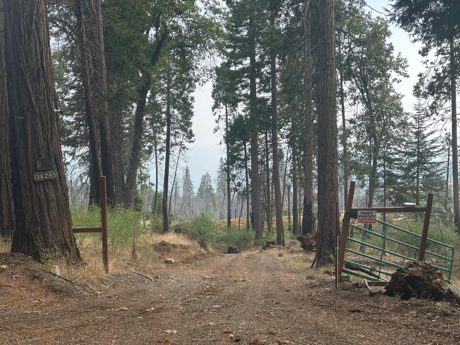 38295 Cressman Rd, Shaver Lake, CA 93664