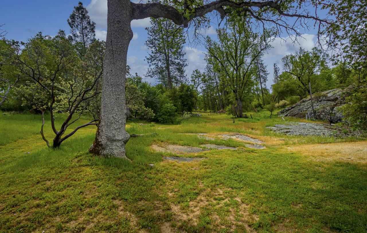 50622 Critter Creek Ln, Oakhurst, CA 93644