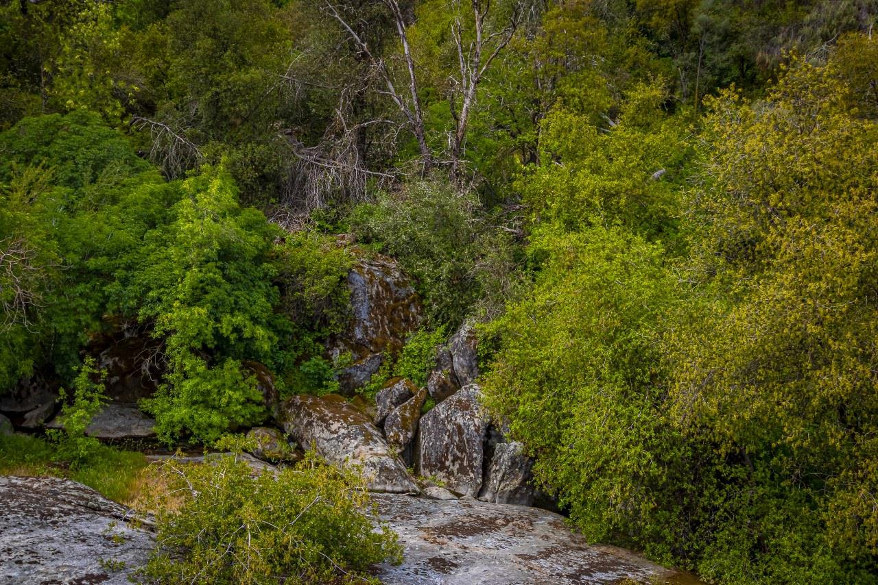 50622 Critter Creek Ln, Oakhurst, CA 93644