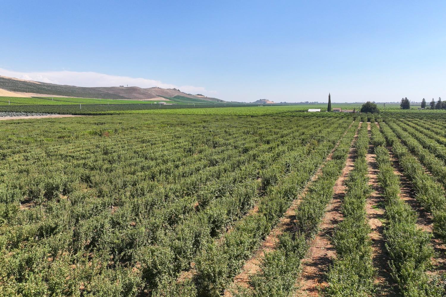 23667 E Dinuba Ave, Dinuba, CA 93618