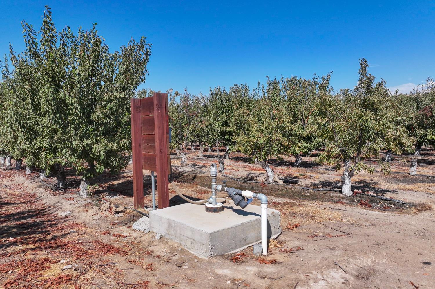 23667 E Dinuba Ave, Dinuba, CA 93618