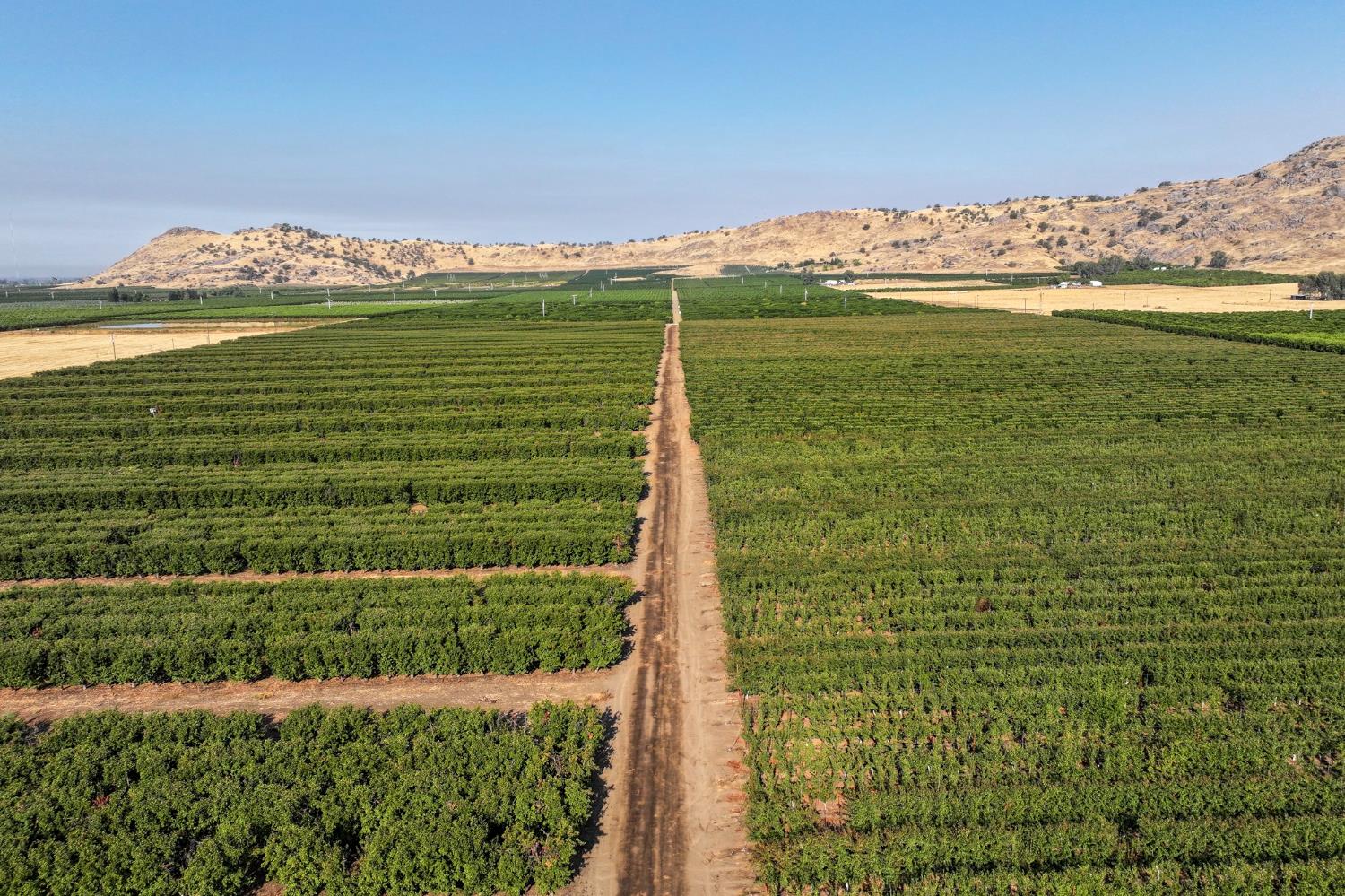 3905 S Hills Valley Rd, Orange Cove, CA 93646