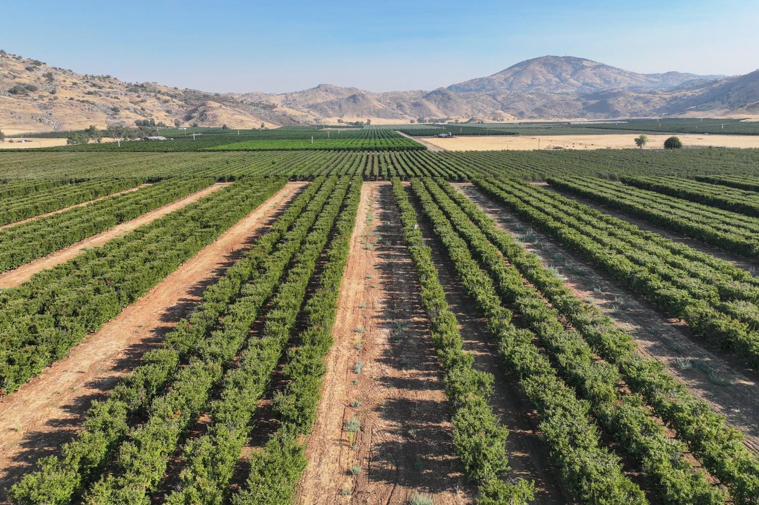 3905 S Hills Valley Rd, Orange Cove, CA 93646