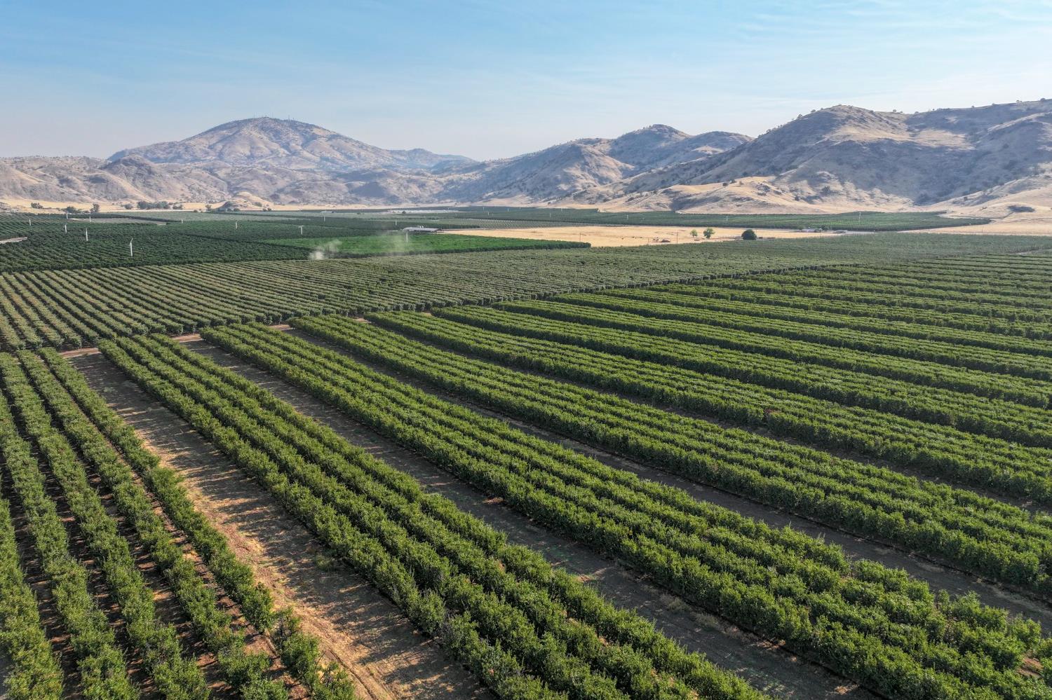 3905 S Hills Valley Rd, Orange Cove, CA 93646