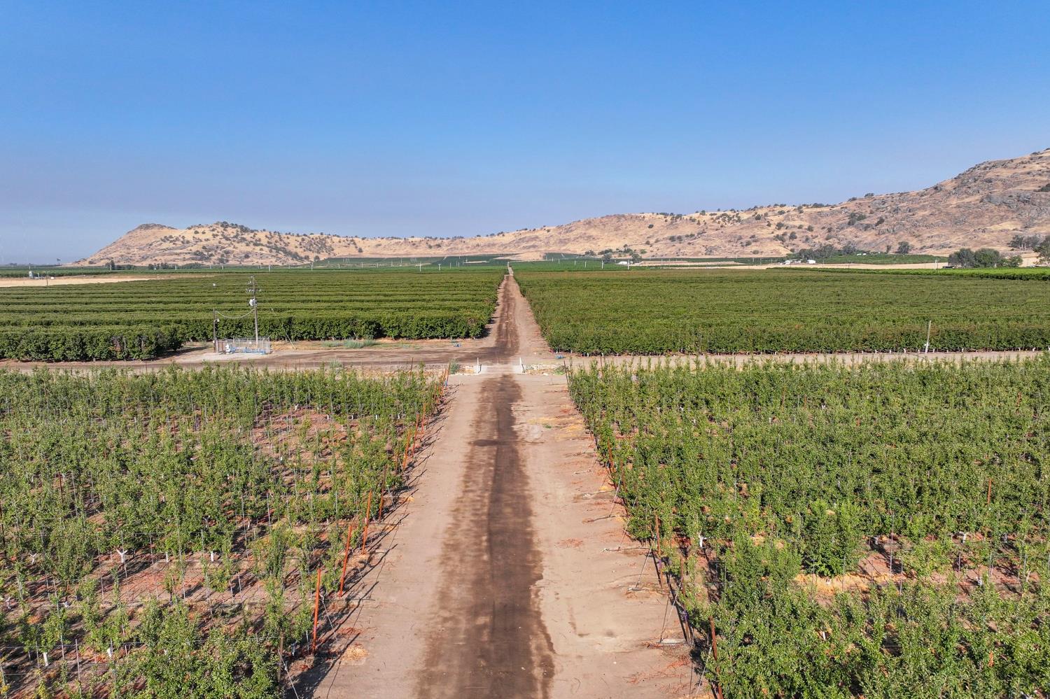 3905 S Hills Valley Rd, Orange Cove, CA 93646