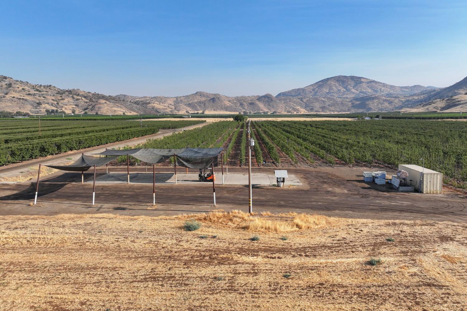 3905 S Hills Valley Rd, Orange Cove, CA 93646