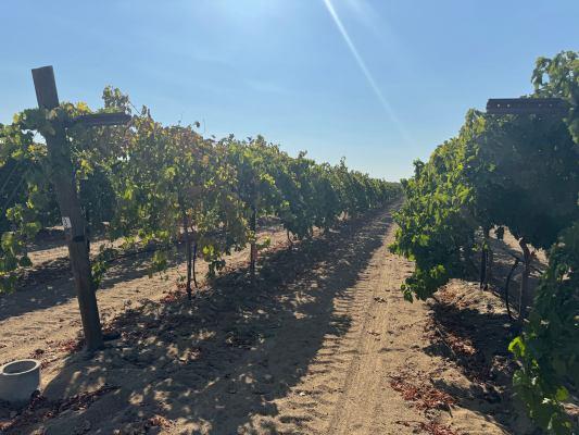 1 Indianola, Sanger, CA 93657