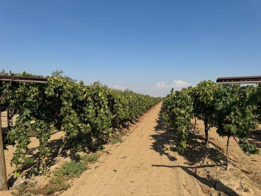 1 Indianola, Sanger, CA 93657