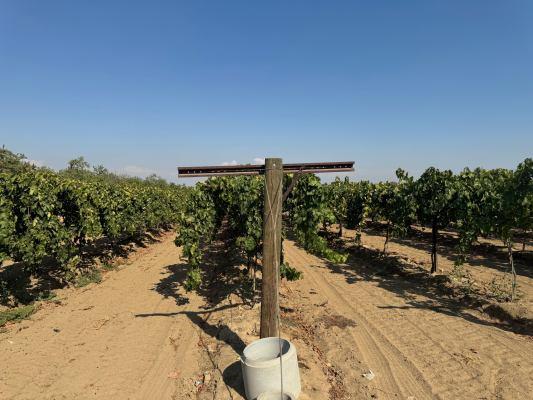 1 Indianola, Sanger, CA 93657