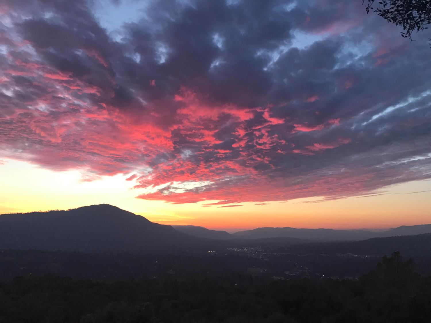 51571 Coyote Ridge Rd, Oakhurst, CA 93644