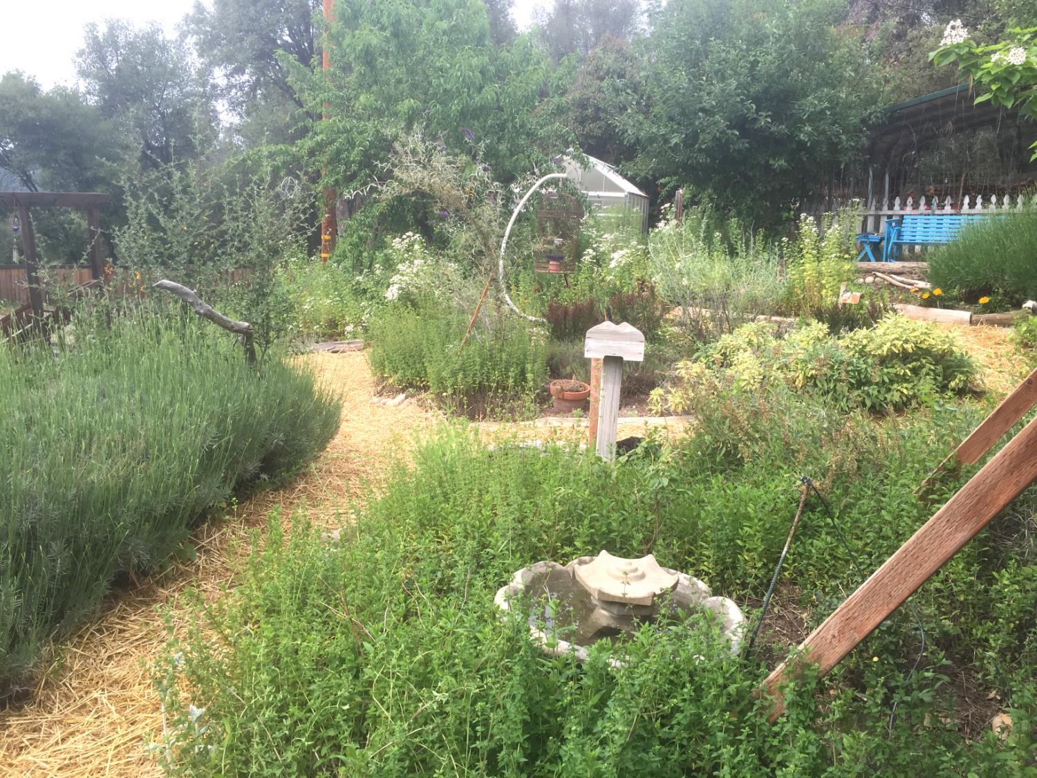 51571 Coyote Ridge Rd, Oakhurst, CA 93644