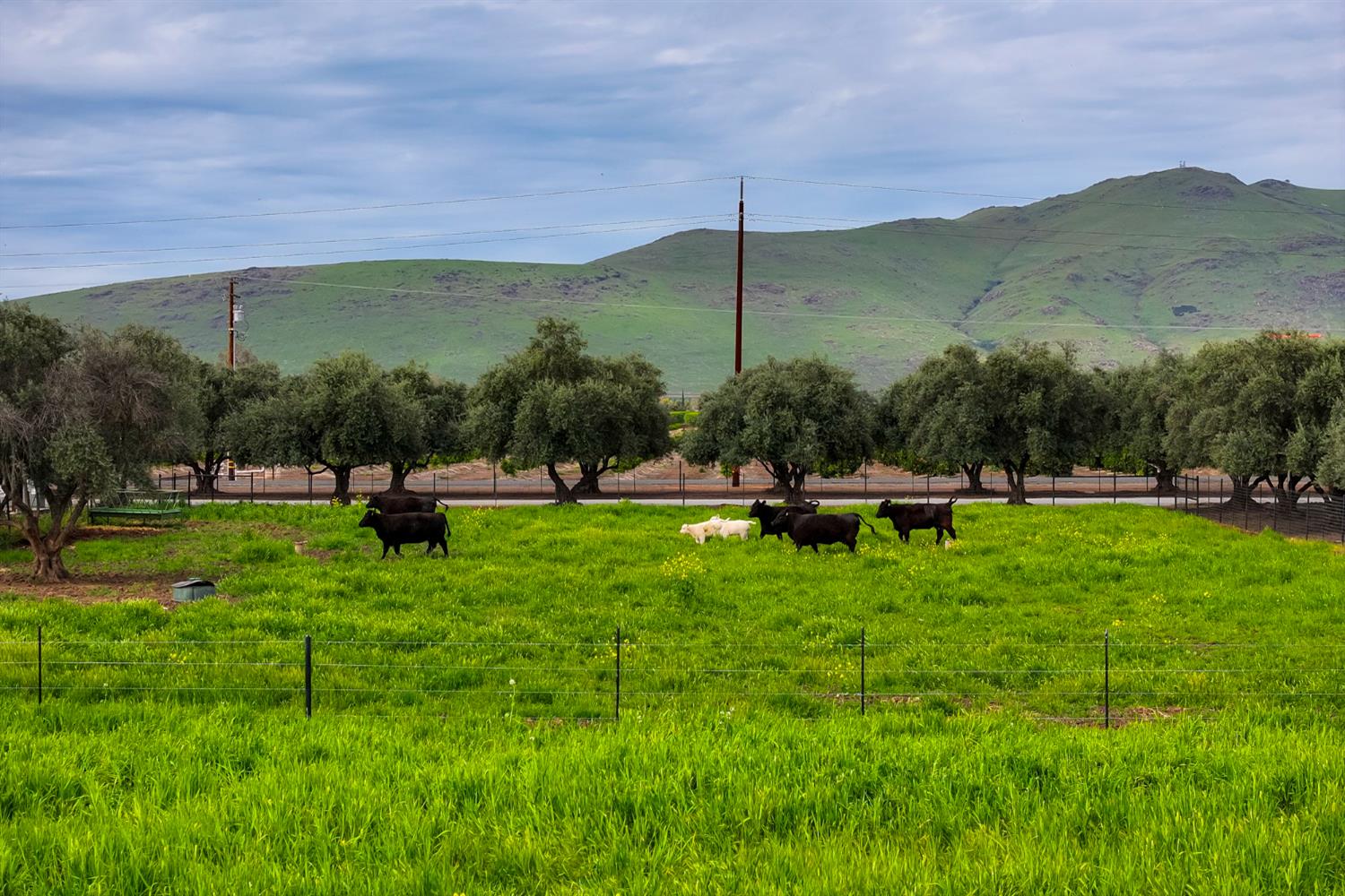 15725 Avenue 376, Visalia, CA 93292