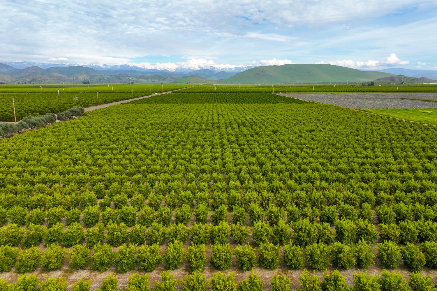 15725 Avenue 376, Visalia, CA 93292